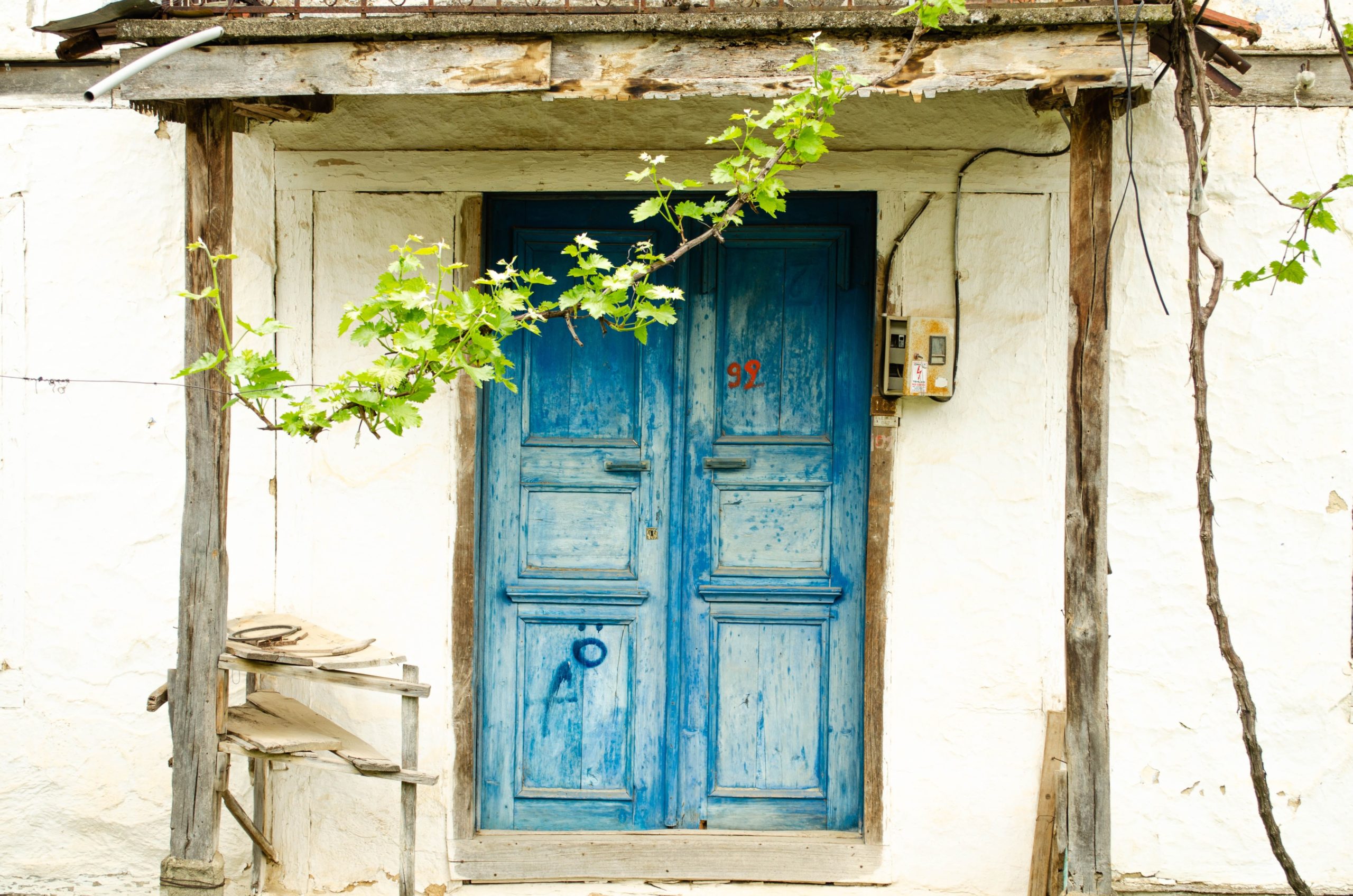 Use Top Wooden Door Maintenance Tips
